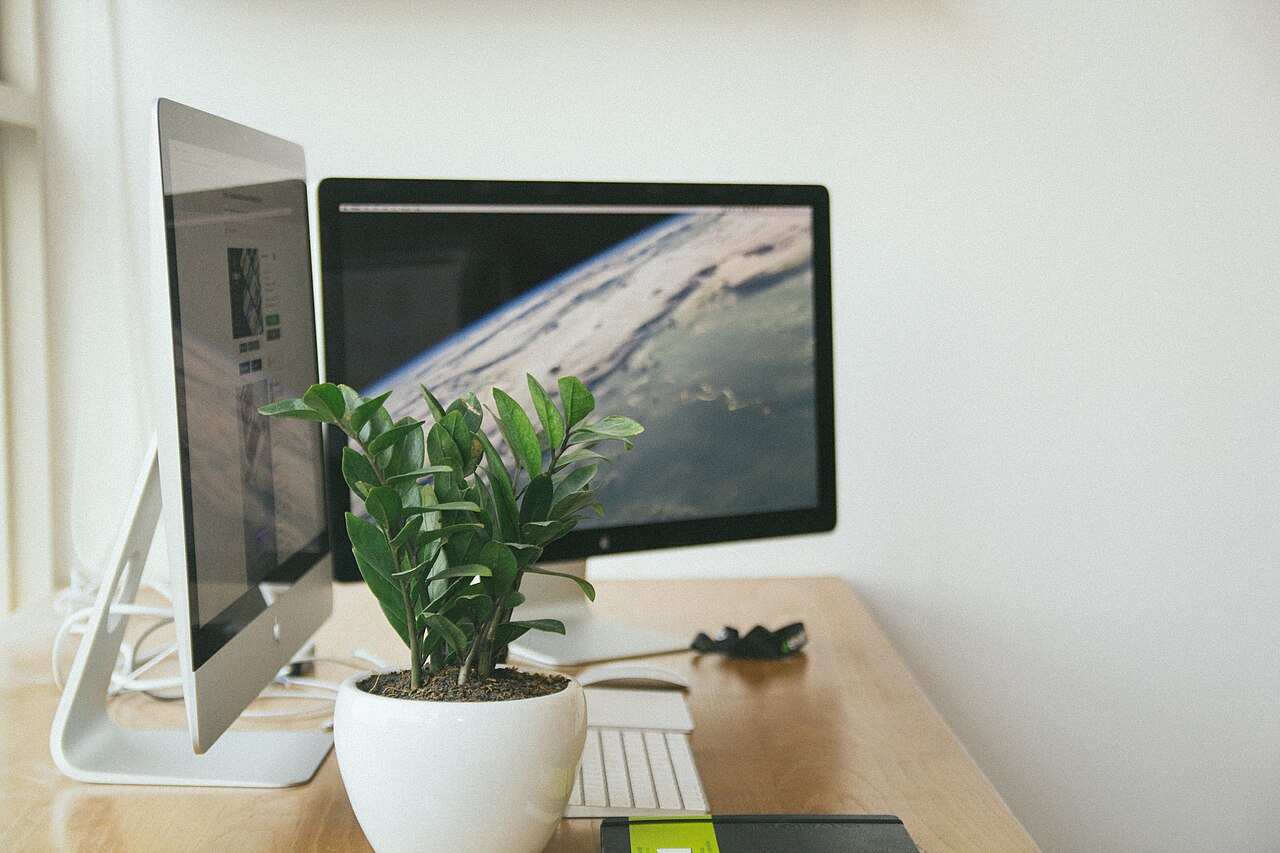 Bright office desk with two monitors and a potted plant