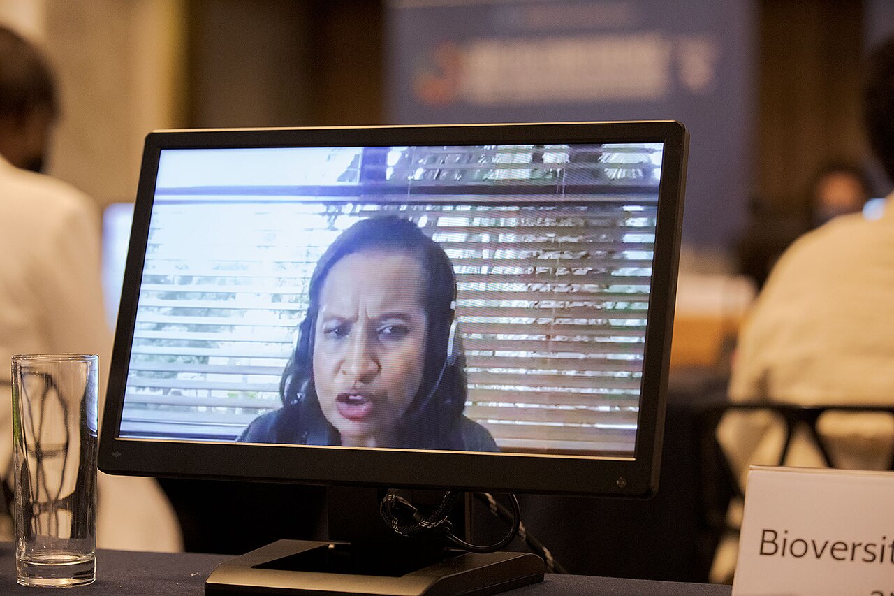 A desktop monitor showing a person during a virtual meeting