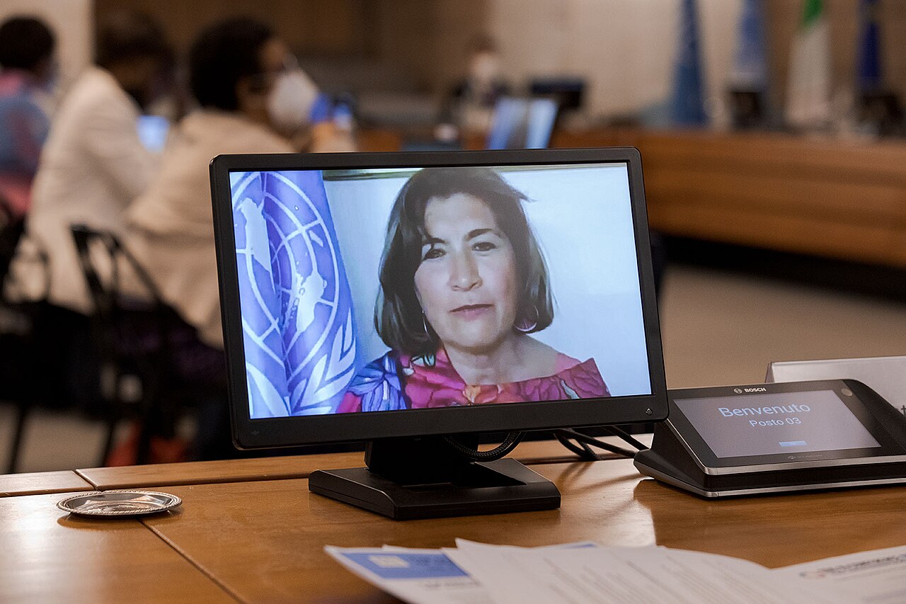 A monitor showing a speaker at an international conference